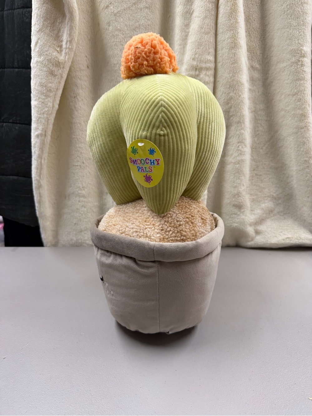 Cute Cactus - Picture 2 of 7